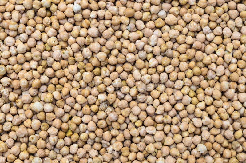 White grams stock image. Image of protein, closeup, nutritious 18605915