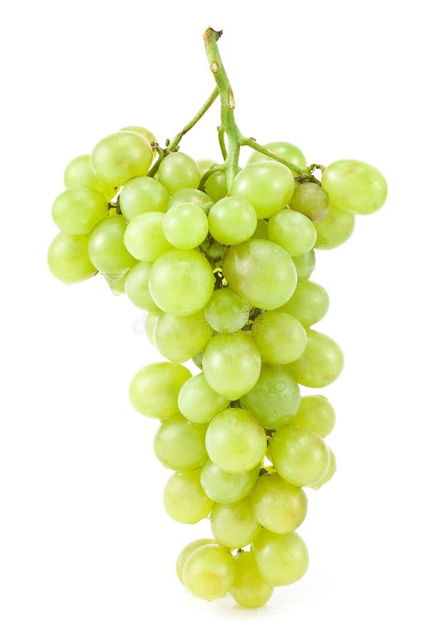 Grapes stock photo. Image of produce, white, healthy - 16532166