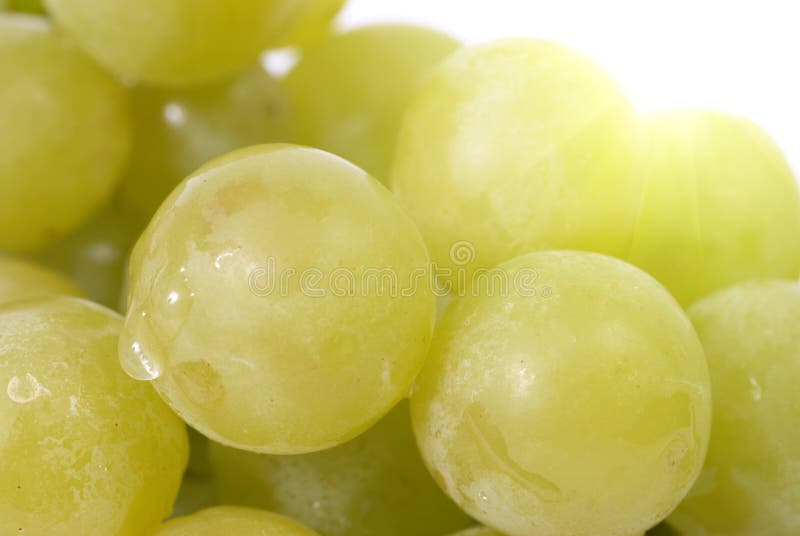 White grapes stock image. Image of agriculture, grapevine 21757639