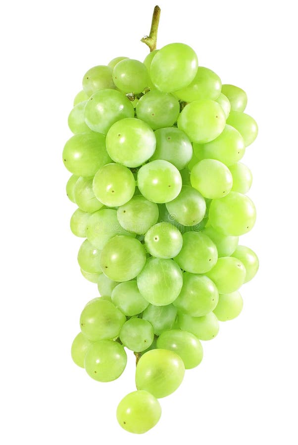 Grapes stock image. Image of round, plant, food, fruits - 28621059