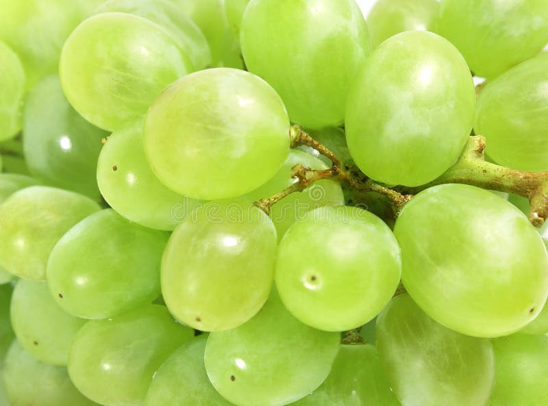 White grapes