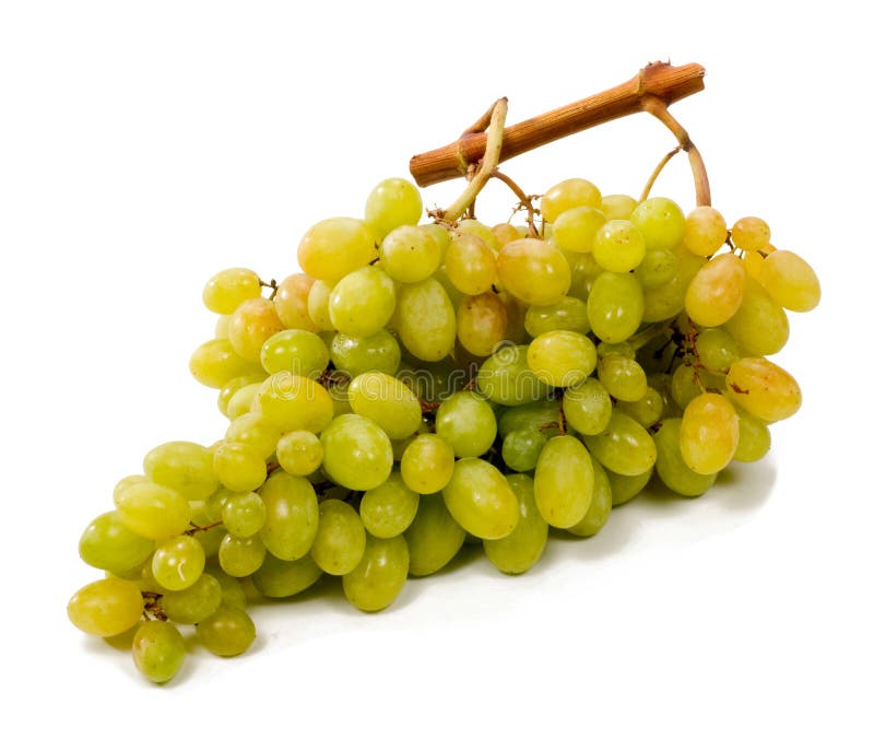 White grapes on a white background