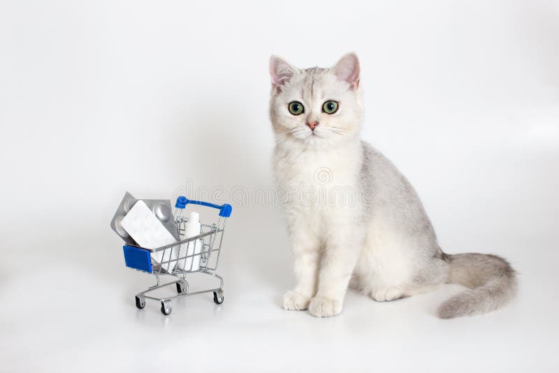 White and gray cat sits on a white background with a shopping trolley full of pills and medicines.