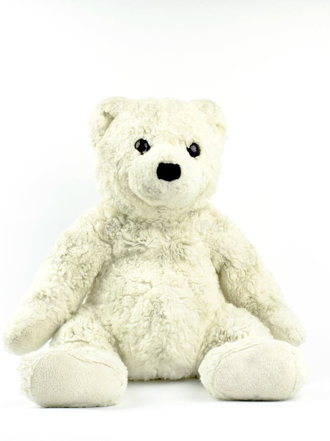 White and Gray Teddy Bear on a White Background. Kids Toy Stock Image