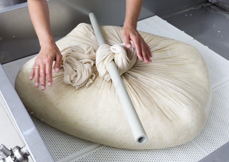 A woman working in a small family creamery is processing the final steps of making a cheese batch. The dairy farm is specialized in buffalo yoghurt and cheese production. A woman working in a small family creamery is processing the final steps of making a cheese batch. The dairy farm is specialized in buffalo yoghurt and cheese production.