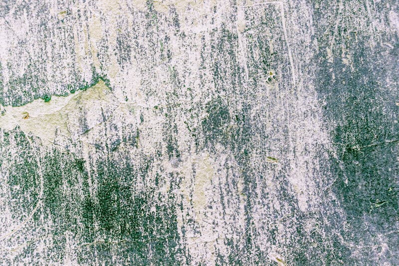 White and Green Color Wall Texture. Stock Photo Image of elegant
