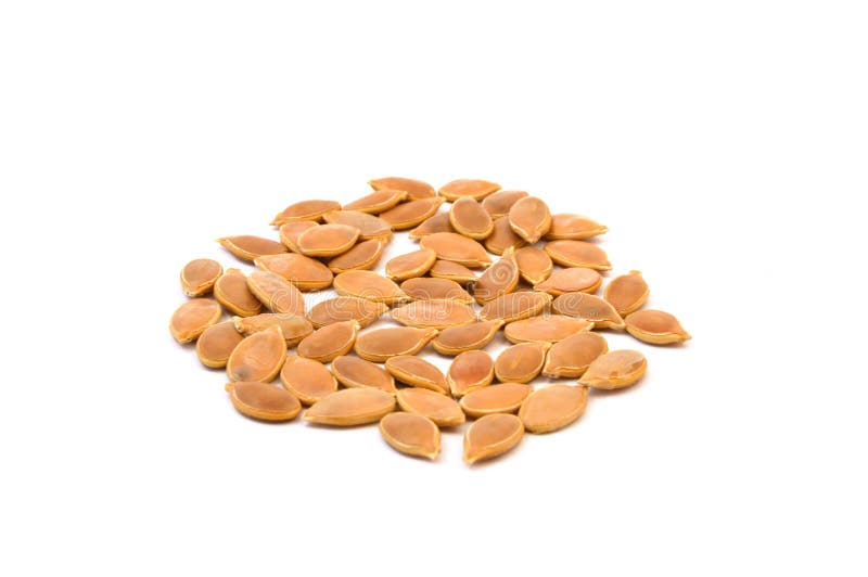 White Ground Pumpkin Seeds, Stock Image Image of groundn, aluminum