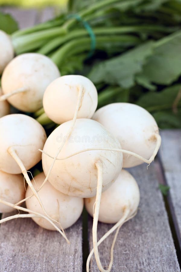 White Hakurei Turnips stock photo. Image of cook, white 32875922