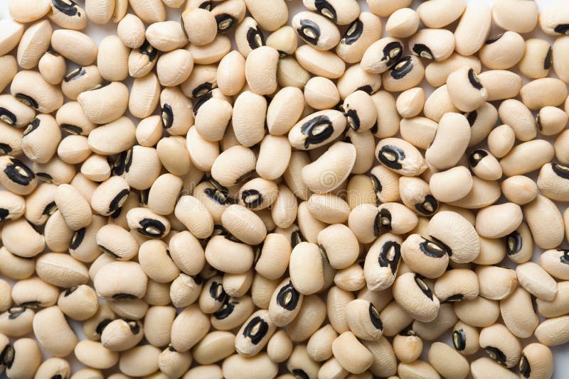 White Haricot Beans Background. Legumes, Top View Stock Photo Image