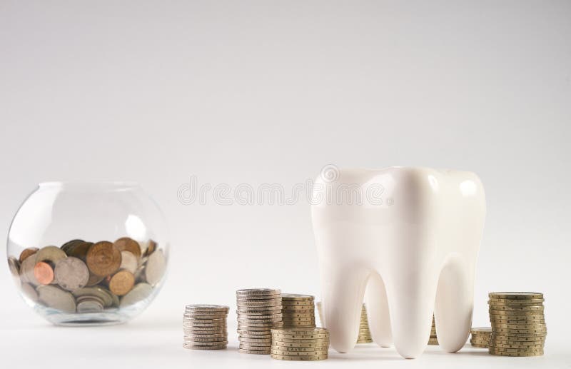 White healthy human enamel tooth model and glass piggy box with stacked coins isolated on white background with copy space. Financial Concept Dentist Money concept. Whitening of tooth enamel