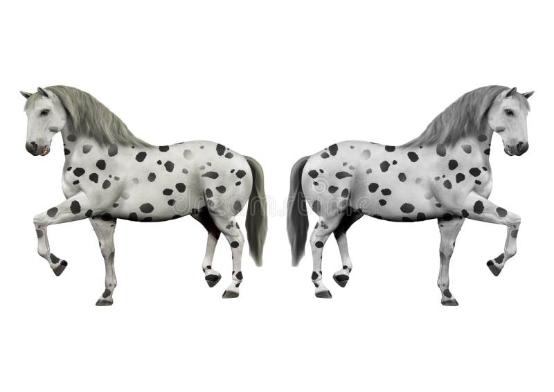 White Horse With Black Dots Stock Illustration Image 59868430