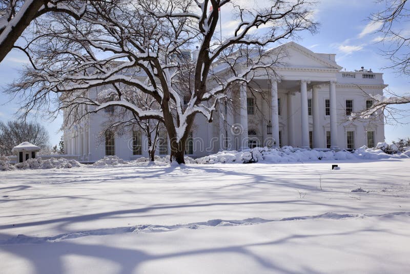 White House Trees After Snow Pennsylvania Ave Washington DC. White House Trees After Snow Pennsylvania Ave Washington DC