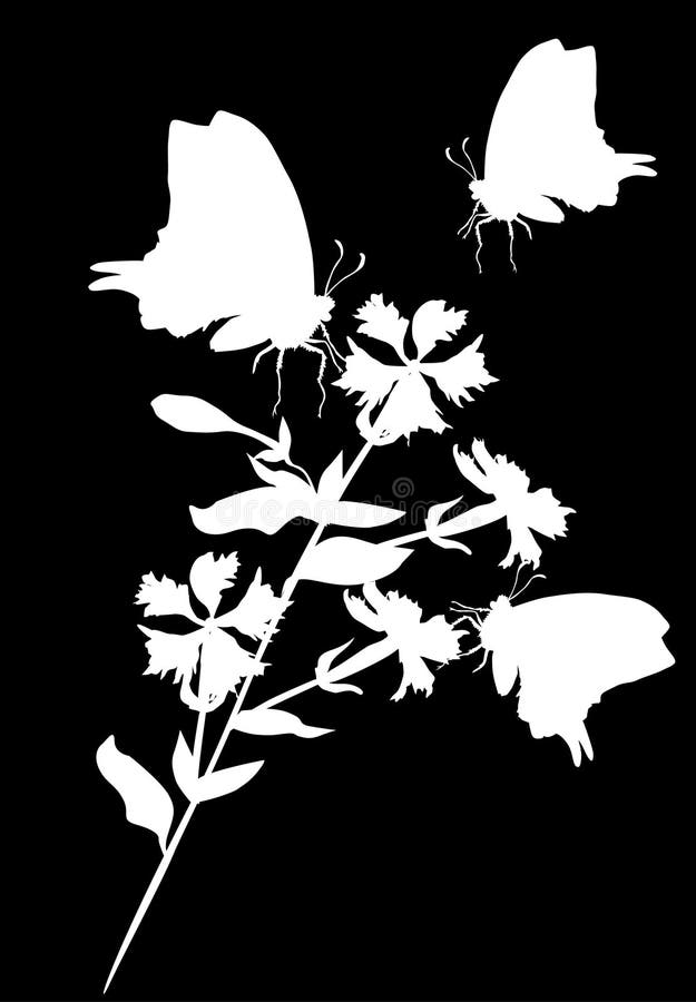 White illustration with three butterflies