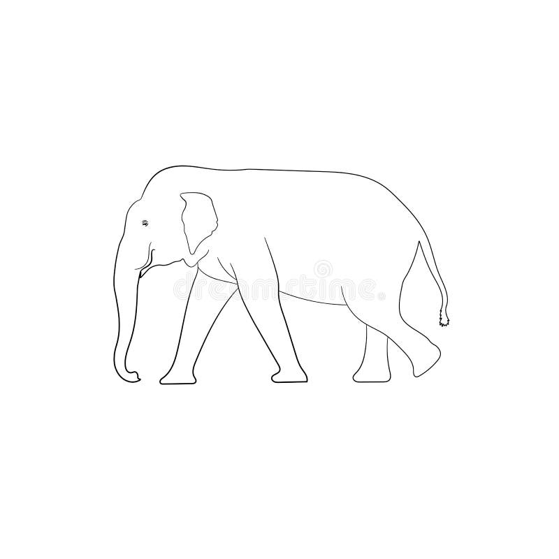 Walking Elephant Outline Stock Illustrations 574 Walking Elephant Outline Stock Illustrations Vectors Clipart Dreamstime Walking Elephant Outline Stock Illustrations 574 Walking Elephant Outline Stock Illustrations Vectors Clipart Dreamstime