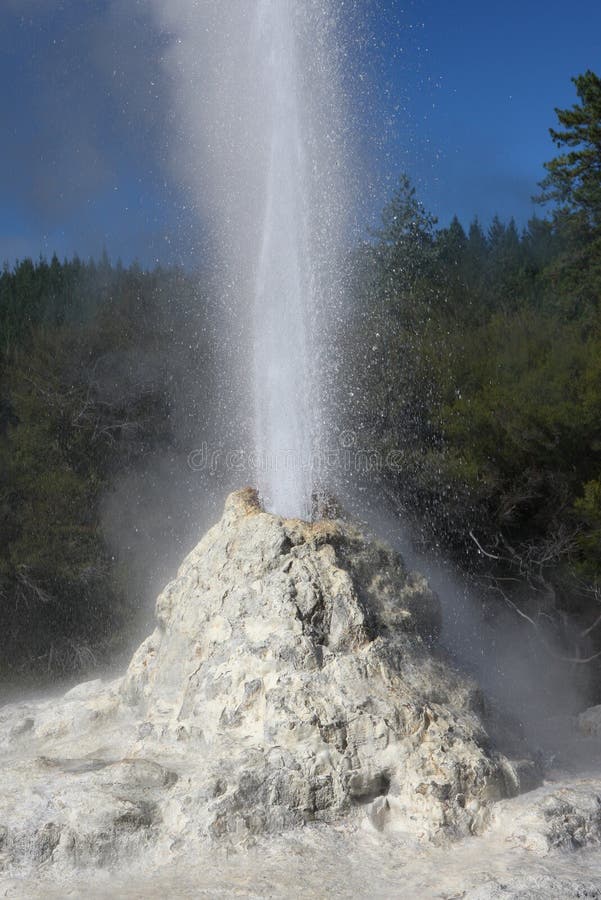 The  White Lady  Geyser, New Zealand