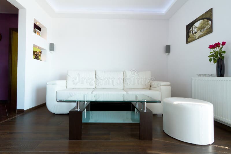 decorate living room white leather sofa