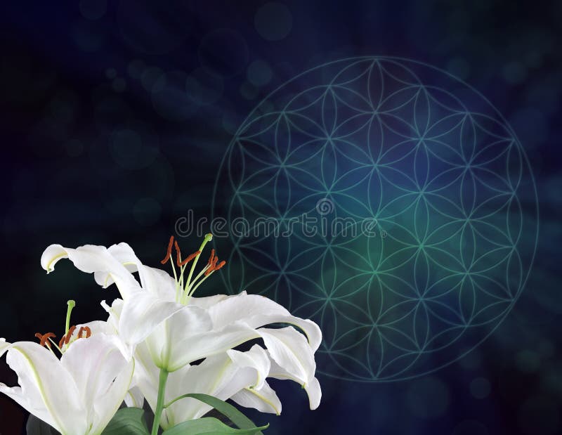 White Lilies and the Flower of Life Symbol Background royalty free stock photography