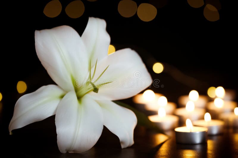 White Lily and Burning Candles on Table. Funeral Symbol Stock Photo