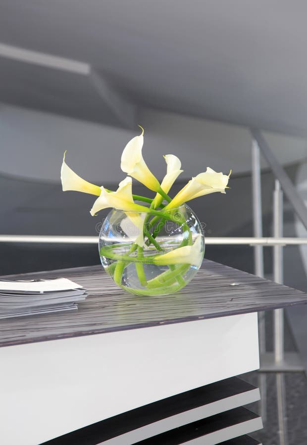 White Lily flower vase stock image. Image of herbal, grow 50564929