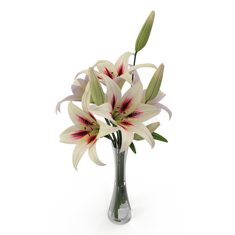 White Lily Vase on white. 3D illustration