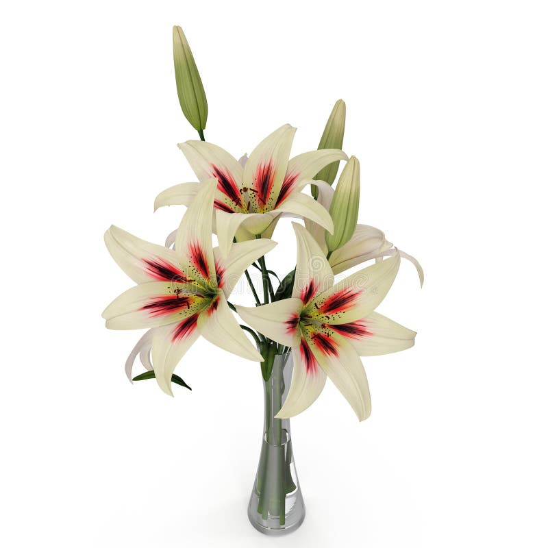 White Lily Vase on white. 3D illustration