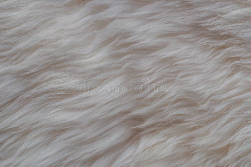 White Long Hair Fur for Background or Texture Sheep Stock Image - Image of  long, decor: 185953813
