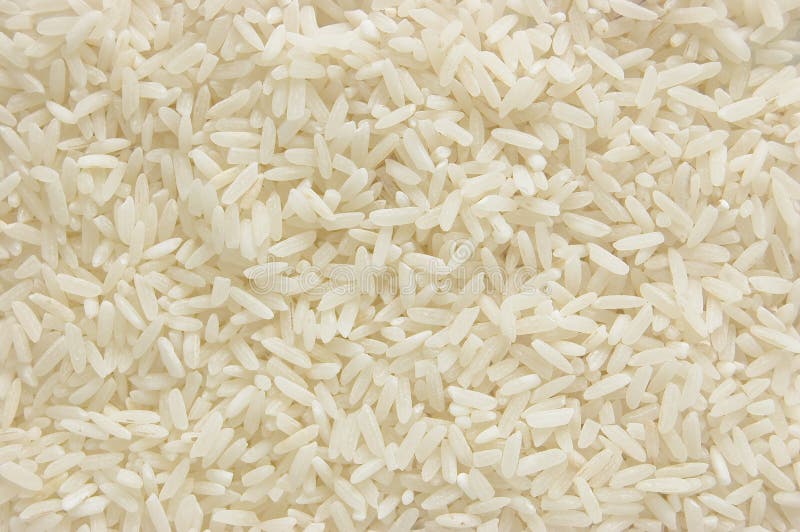 White long rice background, uncooked raw cereals, large detailed texture pattern macro closeup, horizontal textured copy space stock images