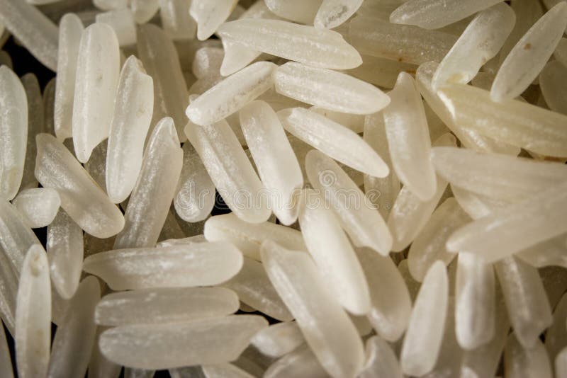 586 Long Grains Uncooked White Basmati Rice Stock Photos Free