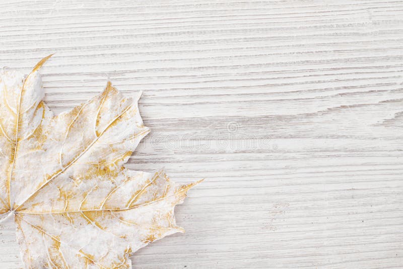 White Maple Leaf Wooden Background Stock Image Image Of Blank Empty
