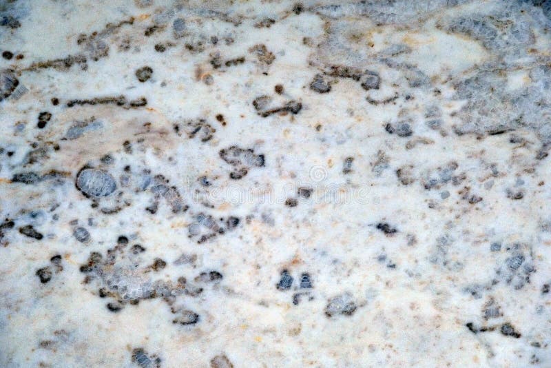 White Marble with Black Dots Texture Stock Photo Image of black