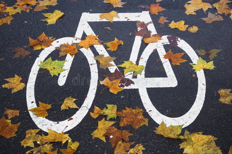 White mark bicycle lane at