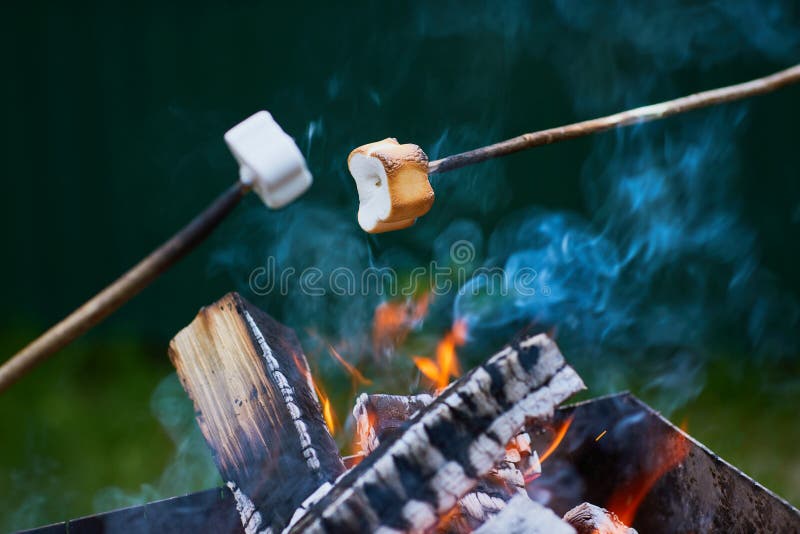 White Marshmallows on Sticks are Being Grilled Over the Fire Flames ...