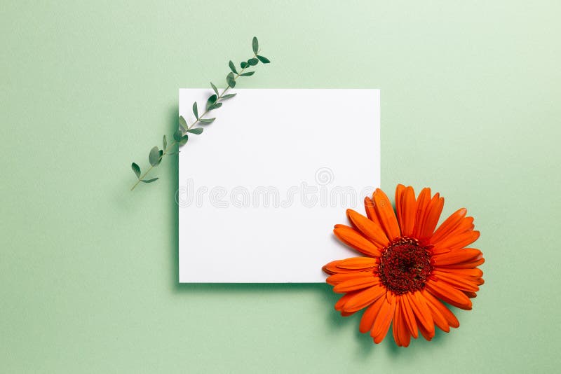 Summer Gerbera Message Pad | Foiled-Stamp Paper Summer Gerbera Message Pad | Foiled-Stamp Paper