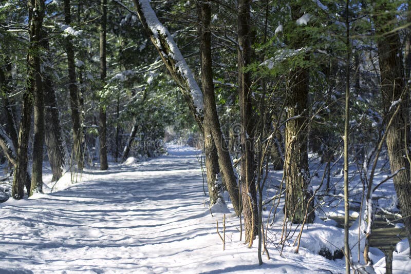 White Memorial Conservation Area Litchfield winter scene stock images White Memorial Conservation Area Litchfield winter scene stock images