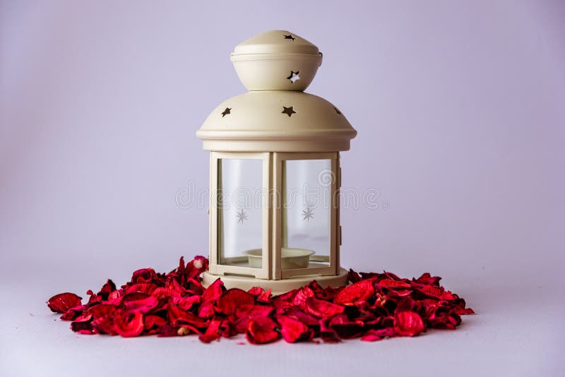4 774 Cutout Rose Photos Free Royalty Free Stock Photos From Dreamstime