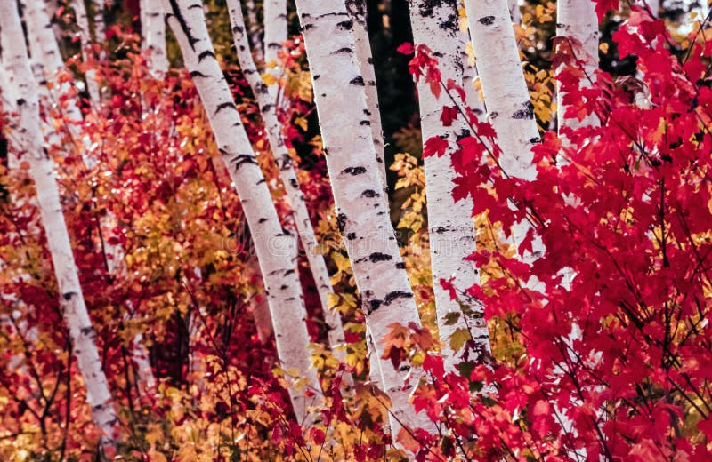 White Mountains, New Hampshire