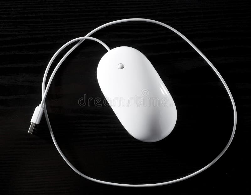 The white mouse stock images