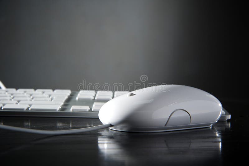 The white mouse and the keyboard stock photos