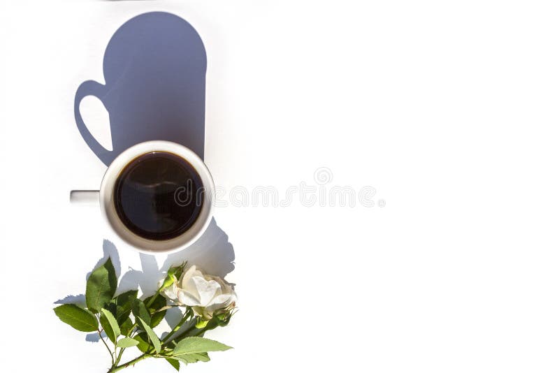 White mug of hot fresh black coffee and white rose flower with green stem on white table in morning sunlight and beautiful shadows
