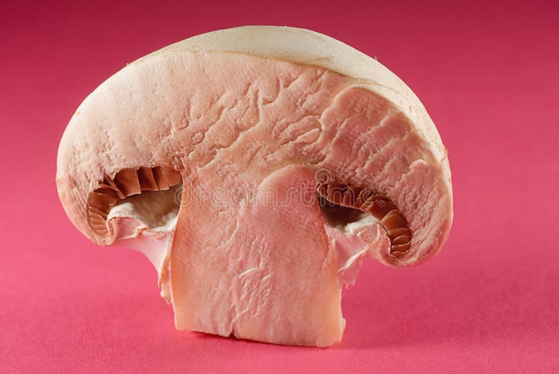 White mushroom stock photo. Image of mushrooms, brown 12491298