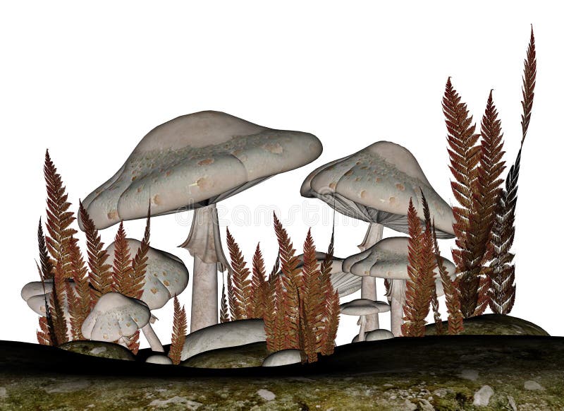 Mushrooms And Vegetation. Fungus. Mycelium. Spore Stock Vector