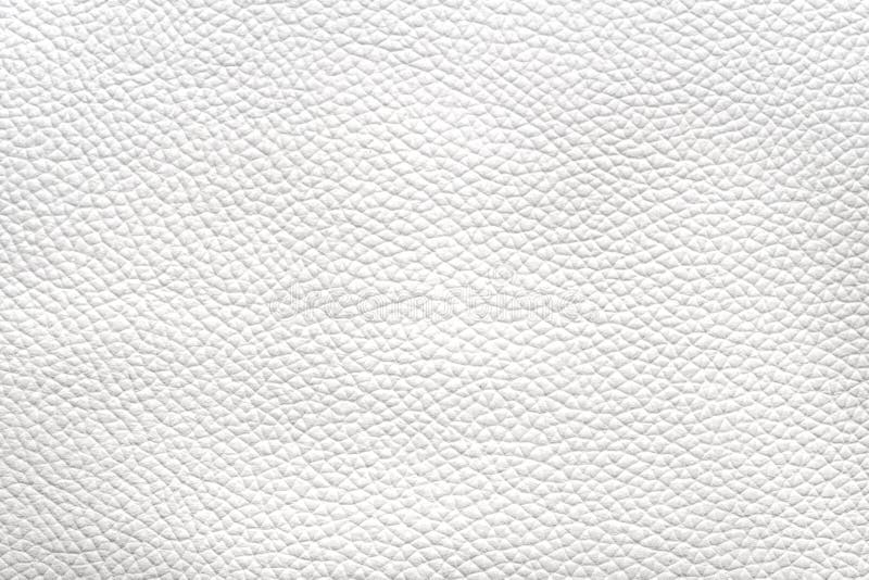 White Natural Animal Skin Texture. Skin with Pattern Stock Photo - Image of  luxury, label: 168999740