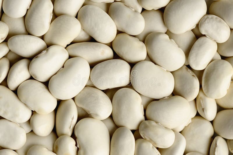 White navy beans pattern stock photo. Image of food, culinary 61569370
