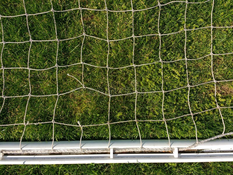 White Netting Against Green Grass