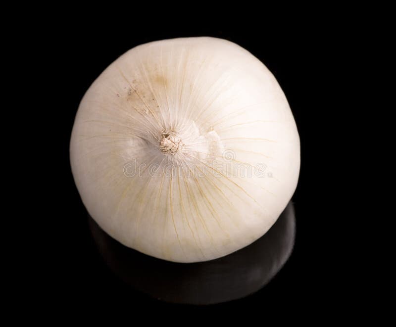 White onion isolated on black