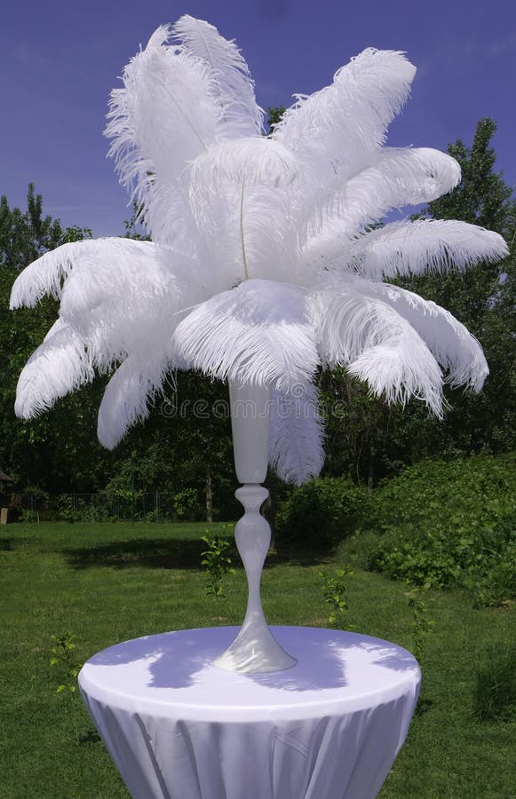 White Ostrich Feather In Vase On A White Banquet Table Stock Photo