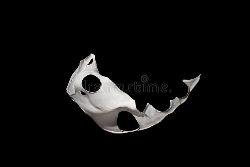 White Paint Splash on Black Background. Stock Photo Image of abstract