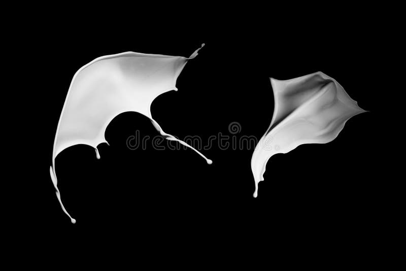 White Paint Splash Isolated on Black Background. Stock Illustration