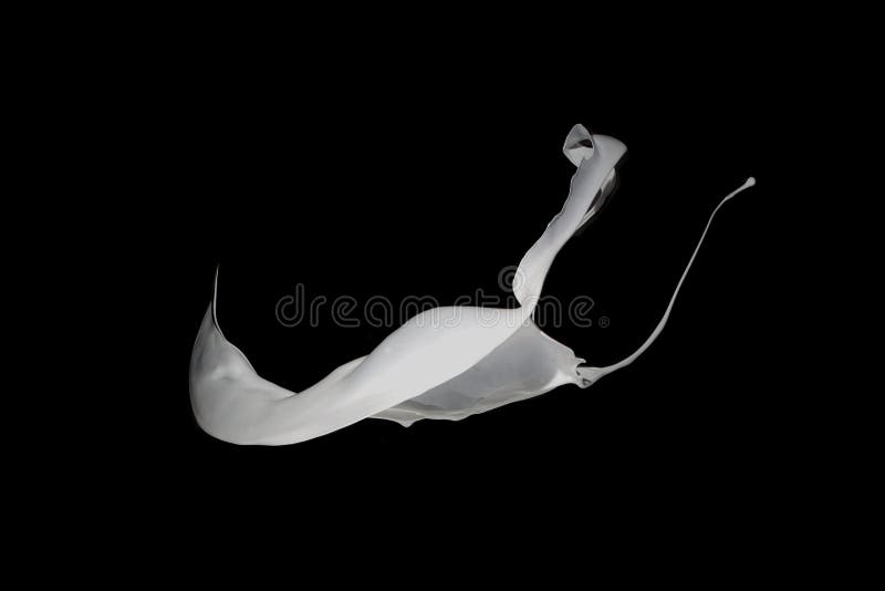White Paint Splash Isolated on Black Background. Stock Photo Image of