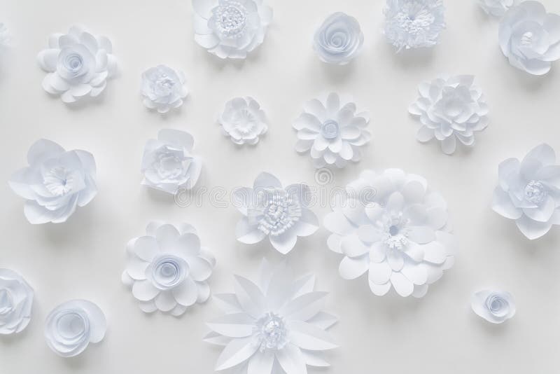 White Paper Flowers on White Background. Floral Stock Photo Image of